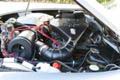 Ruyl Classics