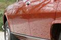 Ruyl Classics